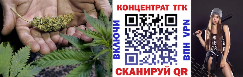 Купить  Чистополь  ТГК концентрат 